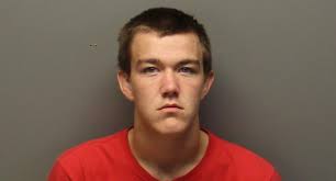 Sullivan Teen Charged With Vehicle Tampering