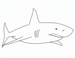 La Chachipedia Dibujos De Tiburones Para Colorear Dibujo De Tiburon Tiburon Animado Imagenes De Tiburones Animados