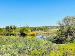 Cross Plains, TX Real Estate and Homes for Sale