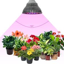 The 24w covers 2.5 square. Amazon Com Zotron Led Grow Light 24w Newest 3rd Generation Growing Led Light Bulbs For Hydroponic Aquaponic Greenhouse Indoor Plants Herbs And Bonsai Trees Garden Outdoor