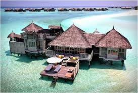 Coral Sea Water World Ex Coral Sea Resort 5 Pin Su Places To Visit