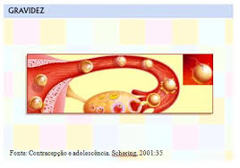Como Penetra O Espermatozoide No Ovulo O Cantinho Dos Afetos E Da Saude