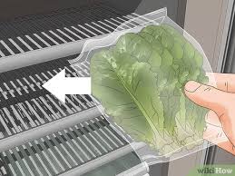 We did not find results for: How To Harvest Romaine Lettuce 11 Steps With Pictures Wikihow