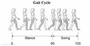 25 Best Walk Cycle Animation Videos And Keyframe Illustrations Two steps backwards no steps forward: 25 best walk cycle animation videos and