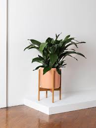 We did not find results for: Large Cast Iron Plant With Mid Century Pot Potted Plant Shipped By Leon George