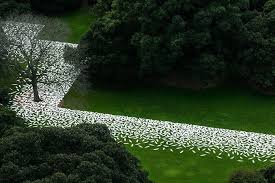 Jonathan Jones Barrangal Dyara Marks The Footprint Of The 19th Century Garden Landscapearchitecture Landscape Design Urban Garden Design Landscape Architect