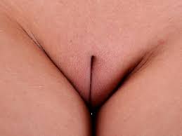 We did not find results for: Ams Cherish Model Camel Toe Camel Toe Close Up