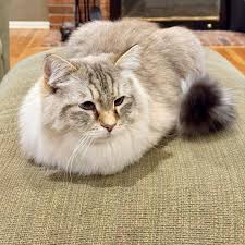 Good to know, I know where to find you!