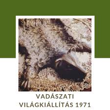 Apja fischer ernő volt, aki férfiszabómesterként dolgozott; Vadaszati Vilagkiallitas 1971 Posts Facebook