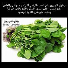 افضل مستشفى مستشفيات دكتور للعمود الفقري الفقرات انزلاق غضورفي دسك انزلاق فقرات الرقبة وفقرات الظهر وعرق النساء في الهند مومباي دلهي ب In 2020 Herbs Spinach Vegetables