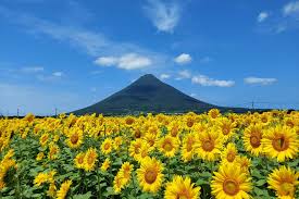 Image result for +bikyakudaimaou