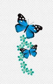 Free shipping on orders over $25 shipped by amazon. Two Flying Blue And Black Butterflies Art Monarch Butterfly Blue Blue Butterfly Blue Brush Footed Butterfly Insects Png Pngwing