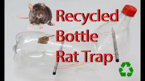 Cut the bottom and the top of your plastic bottle. Home Made Mouse Trap From A Coke Bottle Youtube