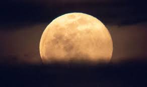 Super pink moon, april's full moon, brightens the night sky a jet is silhouetted by the rising moon as it approaches louisville international airport, monday, april 26, 2021, in louisville. L0feqpahvyah7m