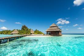We did not find results for: Reve Aux Maldives Des 696 Vols Une Semaine Dans Un Bel Hotel Face A La Plage