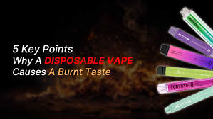 5 Key Points Why A Disposable Vape Causes A Burnt Taste - DIY E Liquids