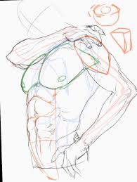 As i've been drawing more and more lately, i've found myself enjoying browsing the internet for inspiration. 18 Anime Sketch Body Male Anatomy Sketches Anatomy Art Human Anatomy Drawing
