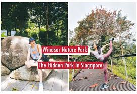 You can now find projects which are eligible for hoc discounts here. The Hidden Park With Dragonflies And Freshwater Streams In Singapore Windsor Nature Park Merlionpost