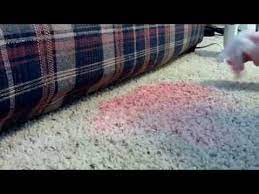 Wet the white cloth with water and lay it on top of the stain. How To Remove A Red Kool Aide Stain From Carpet Youtube
