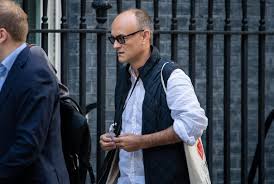 Dominic mckenzie cummings is a british political strategist who served as chief adviser to british prime minister boris johnson from 24 july 2019 until 13 november 2020.23. Mary Wakefield Spectator Dominic Cummings