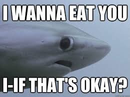 Although the memes might come and go quickly, they almost always have a. 32 Funny Sharks Ideas Sharks Funny Funny Shark