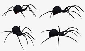 So i'd love to say that it is to be a piece of cake for me, but i can't. Black Widow Spider Set 03 By Free Stock By Wayne On Black Widow Spider Profile Png Image Transparent Png Free Download On Seekpng