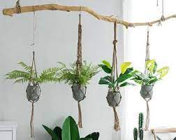 6 Hanging Planter Pots Etsy Hanging Plants Diy Plant Decor Hanging Plants