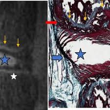 Services75 jours de protection de l'acheteur. B Dallaudiere S Research Works University Of Bordeaux Bordeaux And Other Places