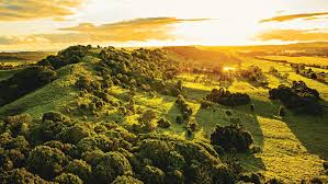 Jul 23, 2021 · project overview. Your Guide To Regional Nsw Take A Holiday To Remember Escape Com Au