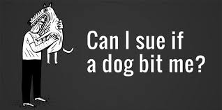 How to sue someone for breach of contract: Can You Sue Someone If Their Dog Bites You