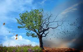 Que serait la vie s'il n'y avait pas la mort ? La Vie Apres La Mort Existe T Elle