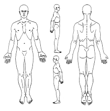 The 399 version can be edited. Image Result For Body Chart Tegning Behandler Smerte