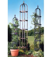 Climbing And Vine Plants Love To Creep Up The Sturdy Frames Of Our Steel Garden Obelisks These Unique Structure In 2020 Garden Obelisk Planter Gift Diy Garden Trellis