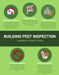 You feel when you eat fast food every day. Building Pest Inspection Melbourne Marks Pest Control