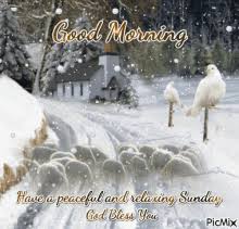 Good Morning Snow Gifs Tenor Choose from hundreds of free good morning pictures. good morning snow gifs tenor