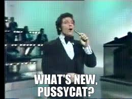 YARN | What's new, Pussycat? | Tom Jones - What's New Pussycat | Video gifs  by quotes | a6d79c55 | 紗