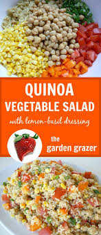 Quinoa Vegetable Salad Easy Vegan The Garden Grazer Recipe Vegetable Salad Cold Lunches Quinoa Healthy