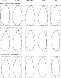 Comparative Morphology Of Populations Of Monstera Adans Araceae From Natural Forest Fragments In Northeast Brazil Using Elliptic Fourier Analysis Of Leaf Outlines Springerlink 61 transparent png illustrations and cipart matching monstera leaf.