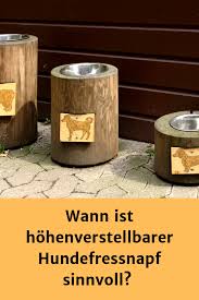 Hundenapf Erhoht Pro Und Contra Vergleich Mit Kauftipps Hundenapf Fressnapf Hund Futternapf Hund