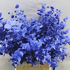 A selection of blue themed flower bouquets and arrangements available for same or next day delivery. Eucalyptus Cinerea Dyed Dark Blue 70cm Wholesale Dutch Flowers Florist Supplies Uk