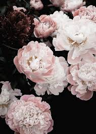 A flower, (old french flo(u)r; Bouquet Of Spring Flowers Poster
