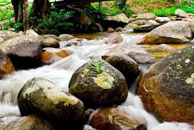 Hewan merupakan nama untuk makhluk hidup yang termasuk ke dalam kingdom animalia. Tempat Menarik Di Perak Mengikut Daerah Percutian Bajet