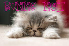 RÃ©sultat de recherche d'images pour "images bonne nuite"