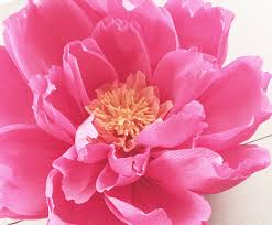 I just had to have it as the backdrop to our summer wedding. Here S How To Make Giant Paper Flowers For Your Wedding Backdrop