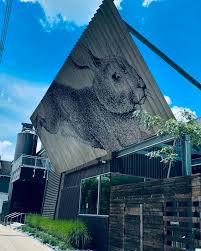 🎼Jesse Nova🎶 (@jessenova) • Instagram photos and videos