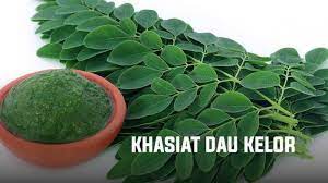 Maybe you would like to learn more about one of these? Sembuhkan Diabetes Rematik Asam Urat Dan Sakit Jantung Ternyata Daun Kelor Punya Segudang Manfaat Bangka Pos