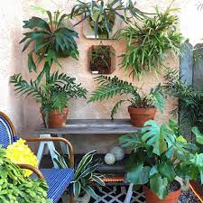 Here are some beautiful patio wall decorating ideas with plants to transform the look of a boring space into an interesting one! Small Patio Decorating Ideas Fast Growing Climbing Vines For Privacy