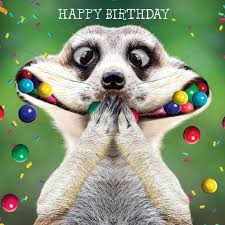 Wishes Funny Happy Birthday Wishes Happy Birthday Funny Happy Birthday Animals
