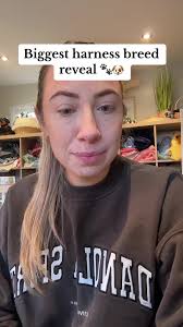 Leo's Lab Dog Harness