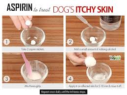 Home Remedies To Deal With Itchy Skin In Dogs Top 10 Home Remedies Itchy Dog Remedies Dog Itchy Skin Remedy Dog Remedies